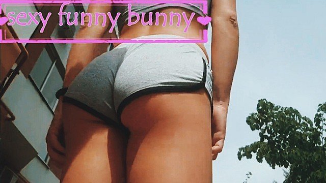 Sexy Funny Bunny: Funny Bunny Funny Bunny Music Cutting