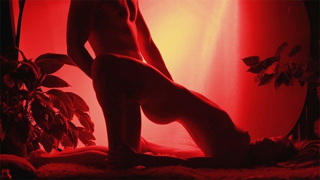 Bonnie Alex: Sensual Silhouette Porn